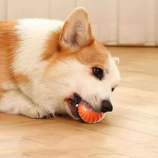PupPlay™ - Automatischer Smart Teasing Hundeball (50% RABATT)