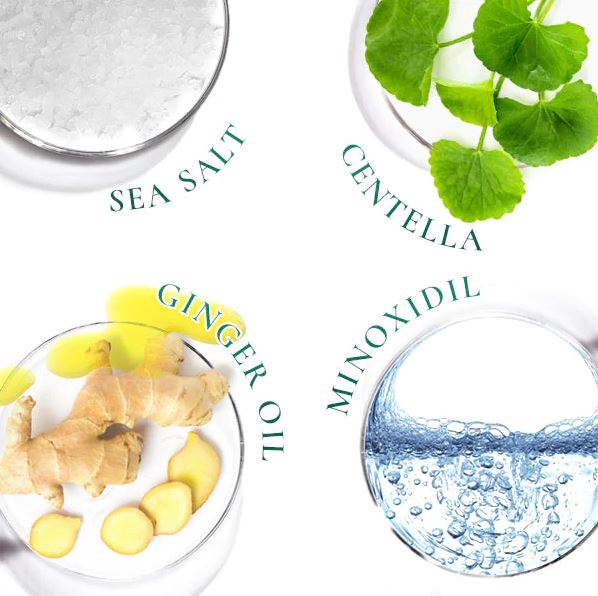 HairPure™ ReGrowth Centella Purifying Scrub 1+1 GRATIS