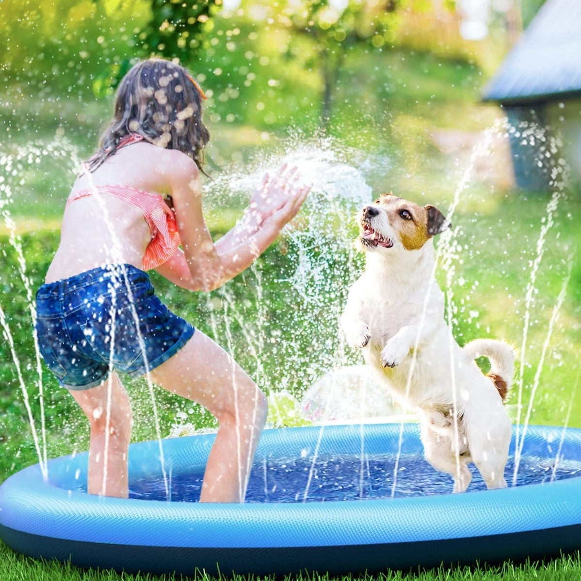Watersplash™ für Hunde und Familie