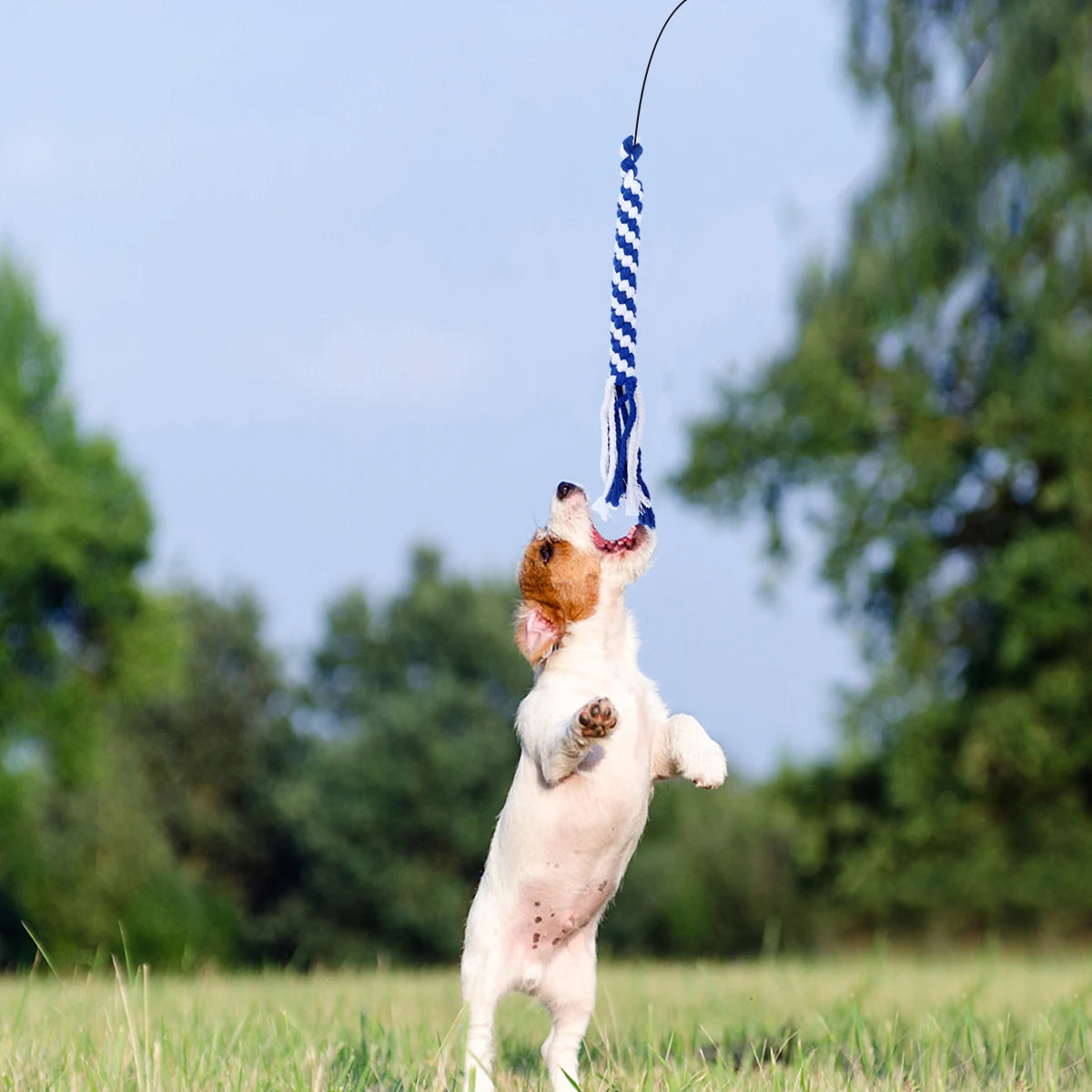 FurJoy™ | Endlose Jagd voller Bewegung