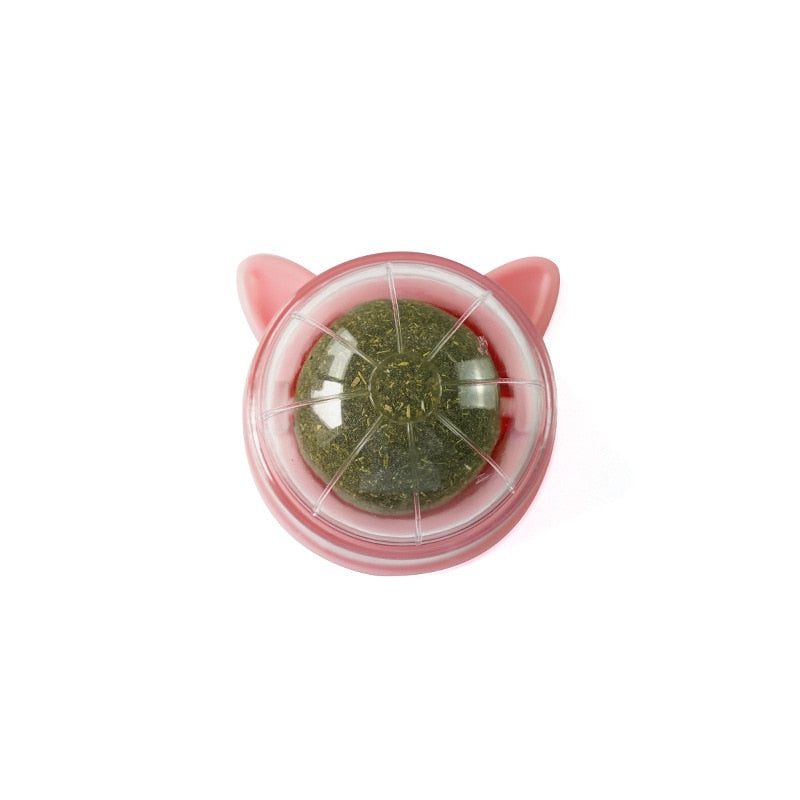 Catnip™ Natürliches Katzenminze-Spielzeug 1+1 GRATIS!