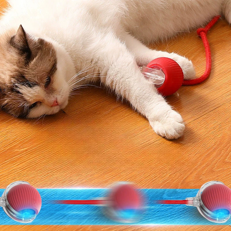 MeowMotion™ | Spielfreude wecken mit automatischem Rollspaß (1+1 GRATIS)
