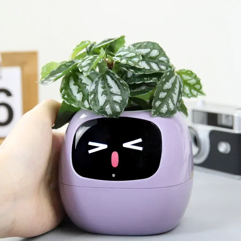 Grunira™ | Schafft Lebendige Natur auf Deinem Schreibtisch