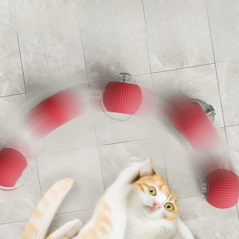 MeowMotion™ | Spielfreude wecken mit automatischem Rollspaß (1+1 GRATIS)