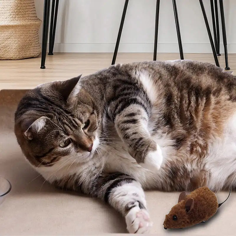 PlayPals™ | Vertreiben Sie die Langeweile mit fesselnden Klängen