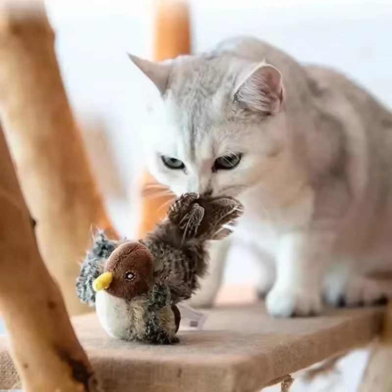 Katzento™ | Schenkt deinem Liebling reine, verspielte Freude