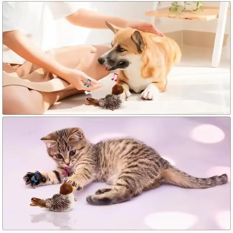 Katzento™ | Schenkt deinem Liebling reine, verspielte Freude