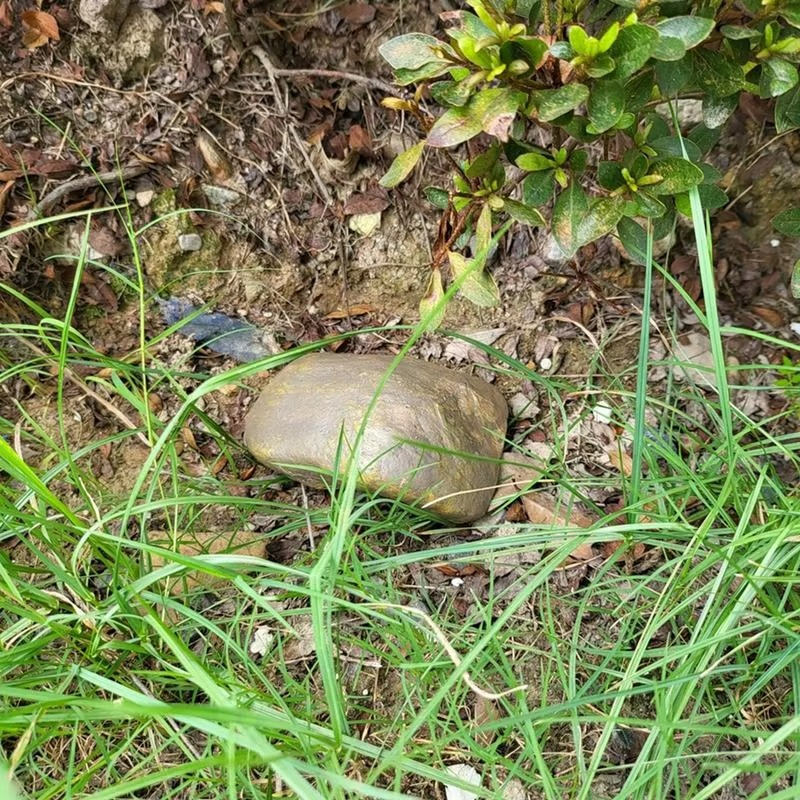 Steinveris™ | Deine Wertsachen unsichtbar verstecken