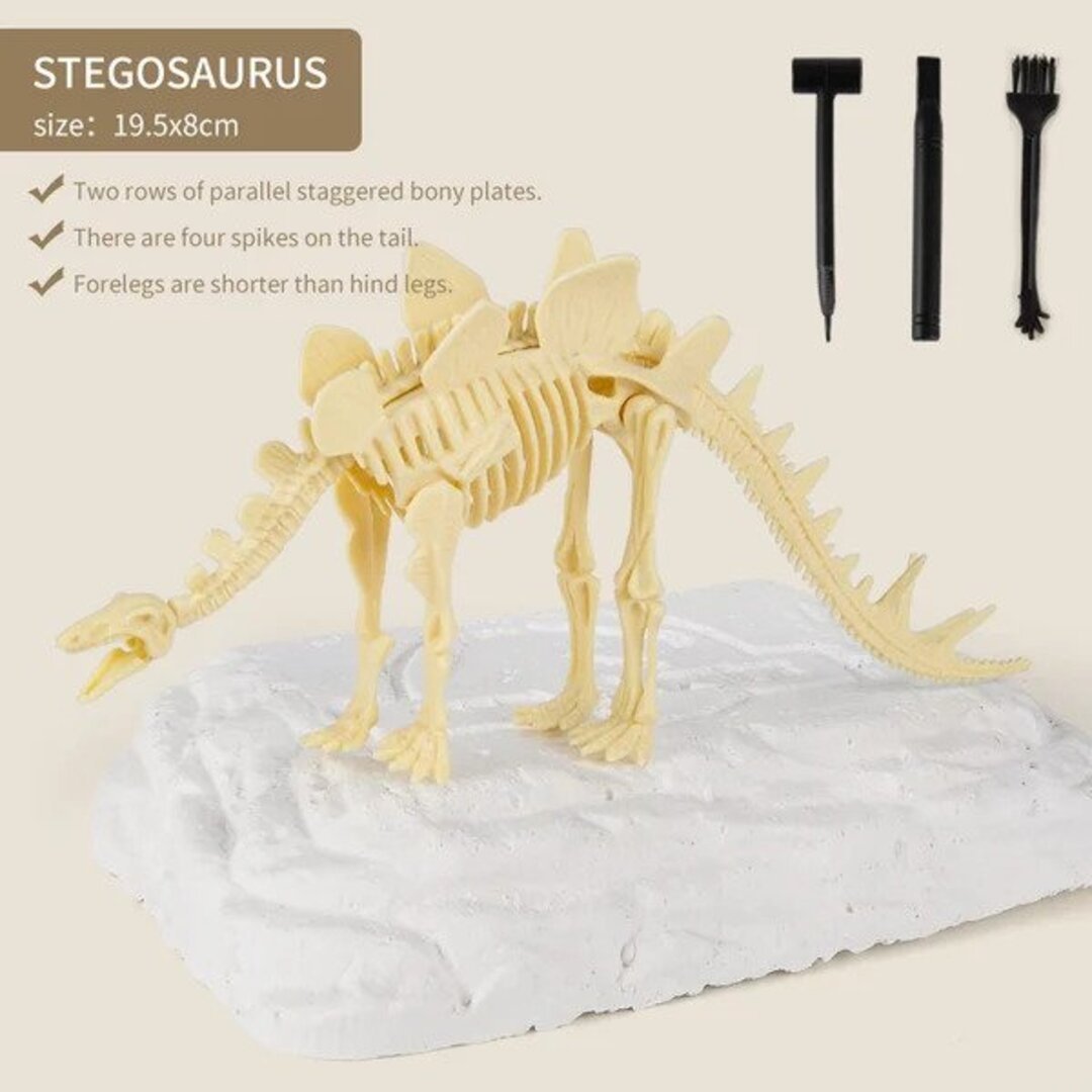 50% RABATT | Dinosaurier Fossilien Ausgrabungsset