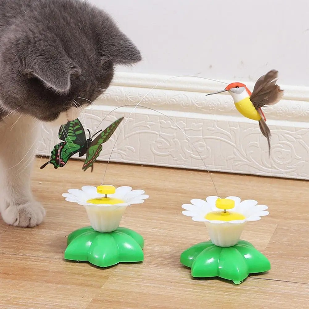 KittyToy™ – Elektrisches interaktives Haustierspielzeug (50% RABATT)
